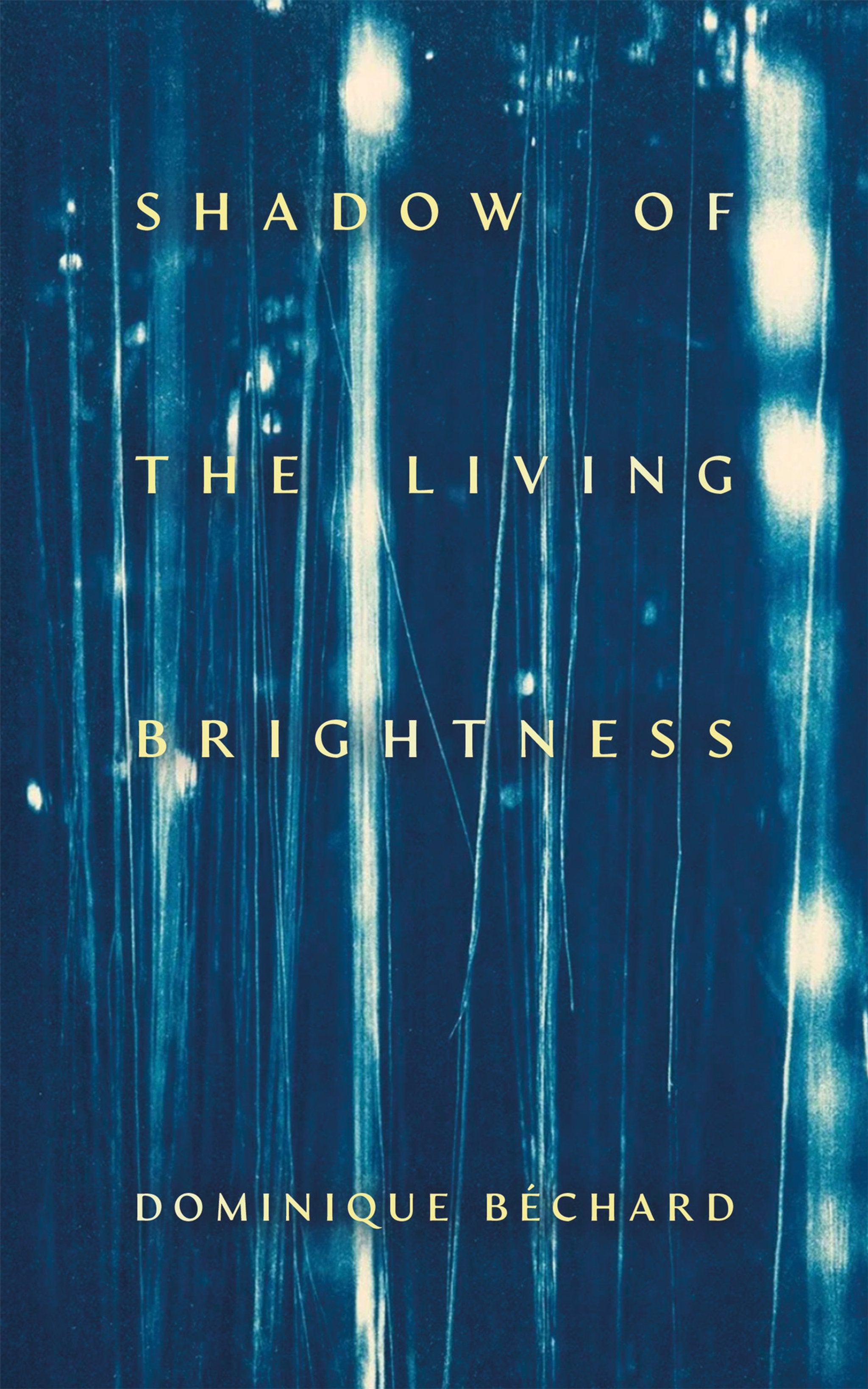Cover image for Shadow of the Living Brightness ISBN 9781552455319
